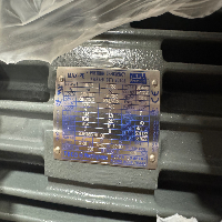 Teco Westinghouse Max-PE Inverter Duty Motor image 1